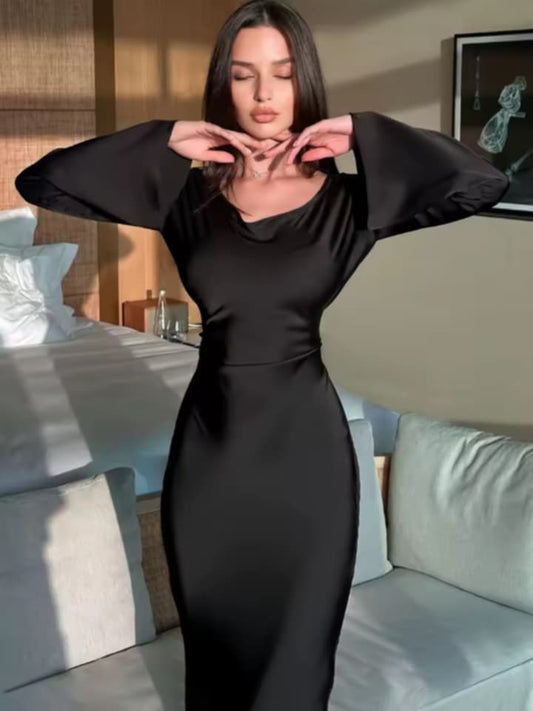 Long Sleeves Lace Up Slim Evening Party Dresses