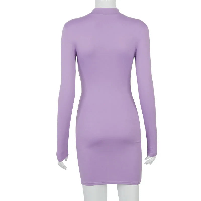 Long Sleeve Bodycon Turtleneck Mini Dress
