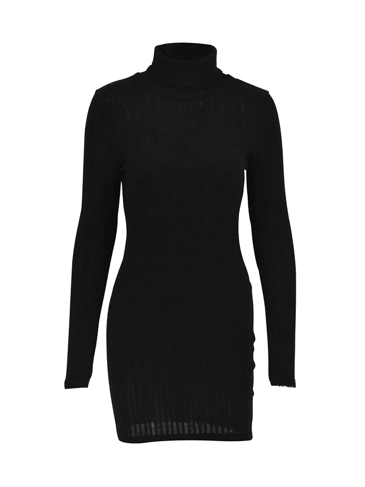 Long Sleeves Turtleneck Dress