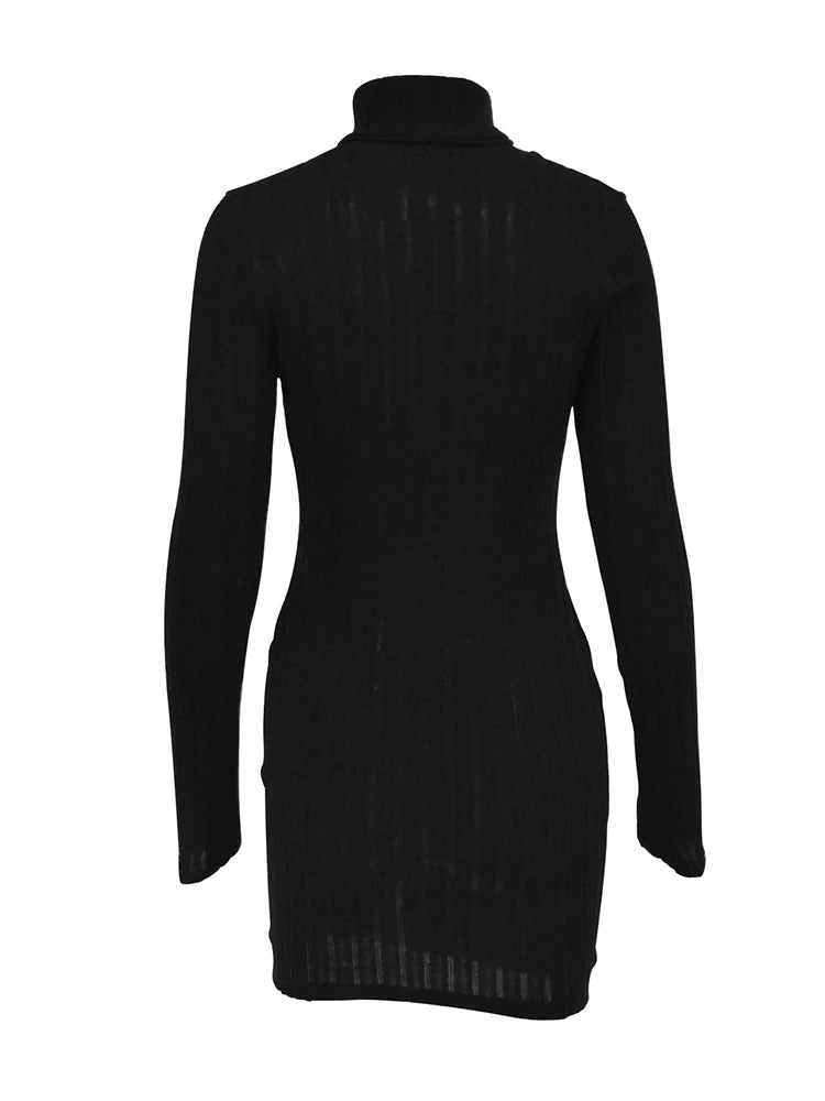 Long Sleeves Turtleneck Dress