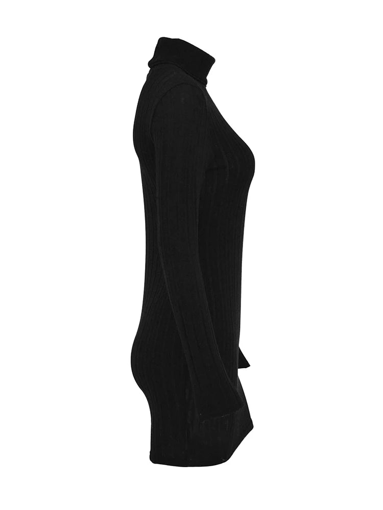Long Sleeves Turtleneck Dress