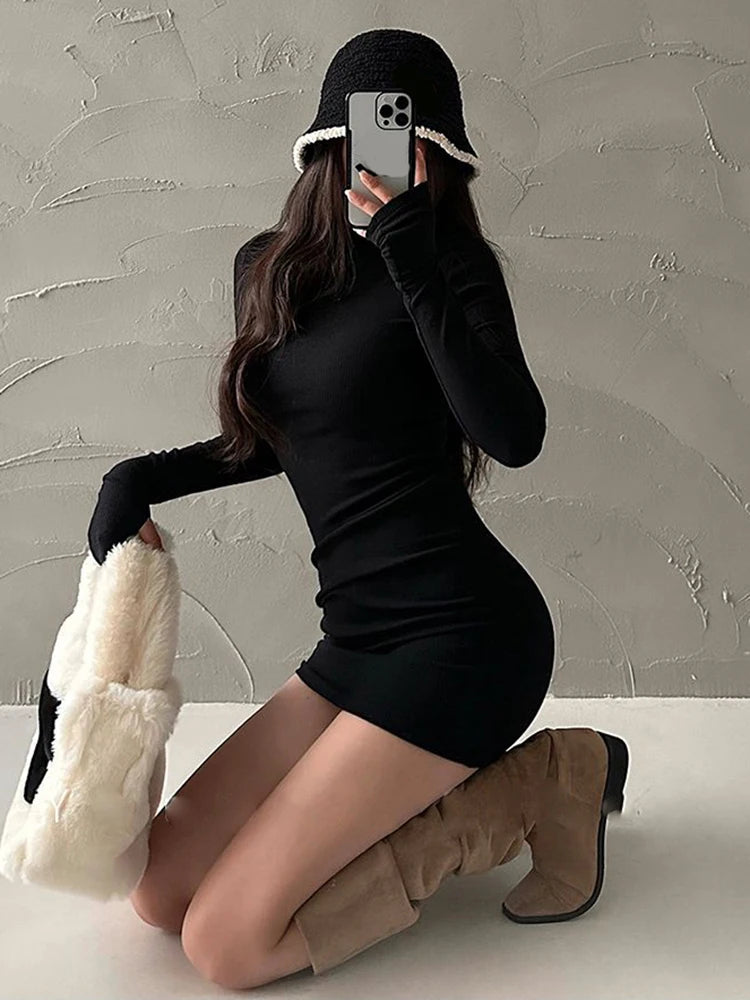 Long Sleeves Turtleneck Dress