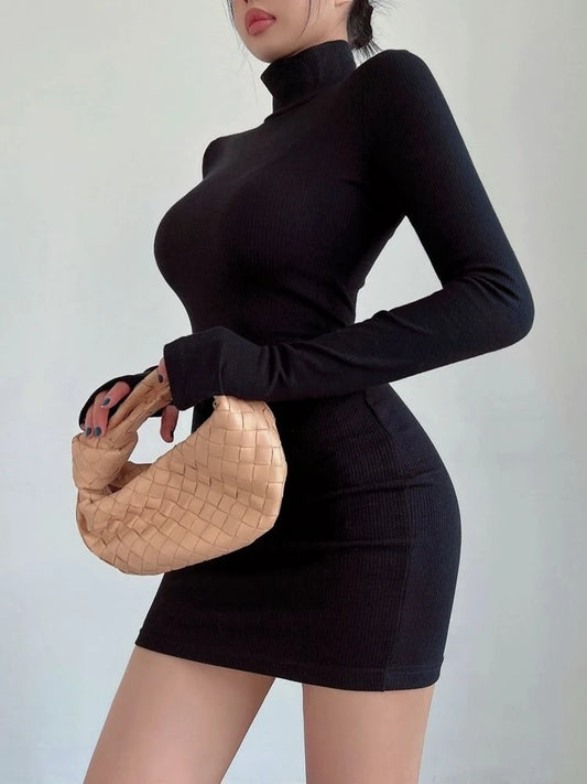 Long Sleeves Turtleneck Dress