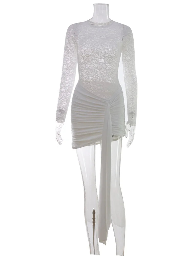 Long Sleeve Sheer Mini Dress