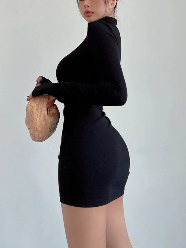 Long Sleeves Turtleneck Dress